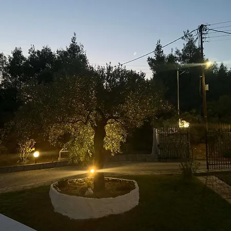 Lejlighed Althea Two - Sithonia Chalkidiki 250m From The *